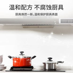 丽能(Nenrte)强力去油污清洗剂抽油烟机厨房重油污净喷雾清洁除