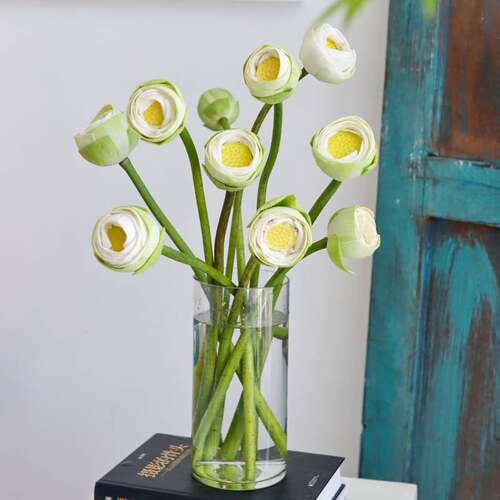 极速白色荷花鲜切鲜花云南直发鲜切花花然严品水培白莲花花束插花