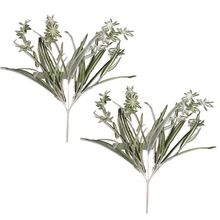 Gothic Home Decor Flowers Of Chlorophytum Simulation Of Tabl