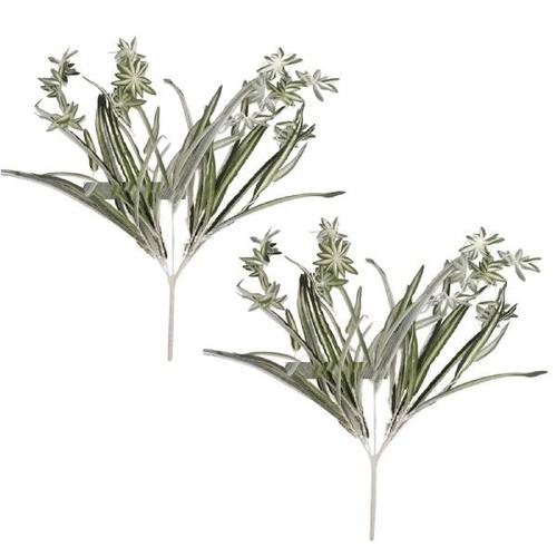 Gothic Home Decor Flowers Of Chlorophytum Simulation Of Tabl