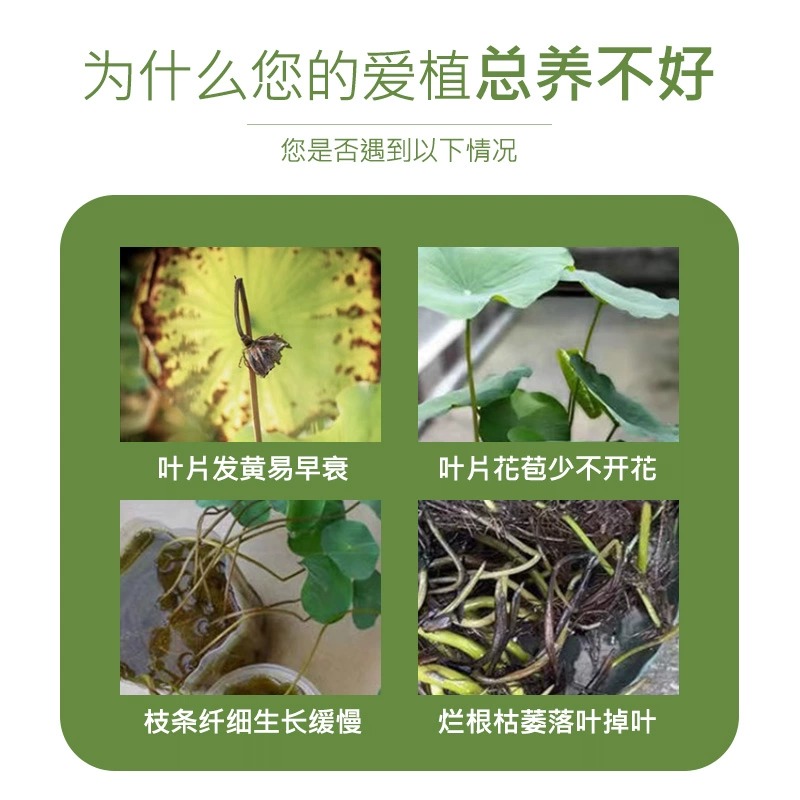 荷花专用肥植物活力素促生长花卉绿植通用浓缩营养液碗莲睡莲泥土