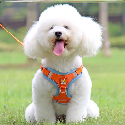 好货Dog Harness Dogs Leashs Mesh Chest Strap Supplies 狗狗胸