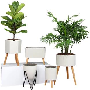 厂家智能创意懒人花盆实木脚北欧风ins风会报警出口品质