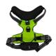 外出牵引LED发光狗胸背带中小型犬夜光出行警示胸背带遛宠用品