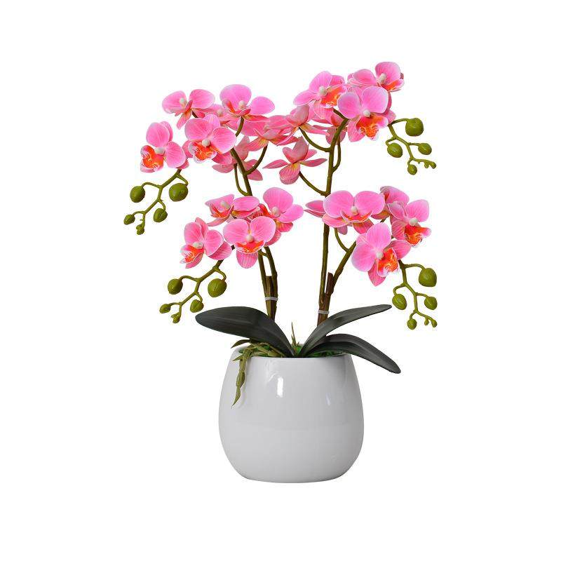 蝴蝶兰仿真花套装客厅摆件假花茶几电视柜摆放花卉装饰塑料花绢花,鲜花速递/花卉仿真/绿植园艺,仿真花,淘宝优惠券,粉丝福利购,淘宝优惠卷