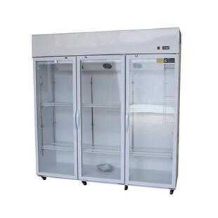 鲜花保鲜柜店花花卉冷柜冰柜专用花柜展示无品牌/柜冷冰藏柜风冷