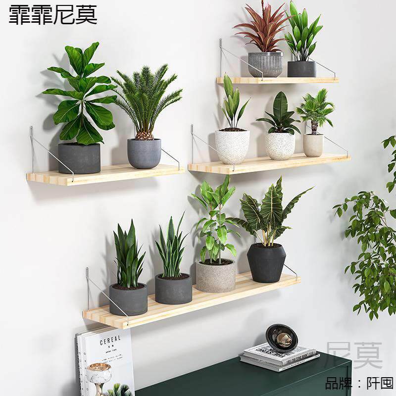 墙上花架壁挂免打孔墙壁置物架花架子阳台挂架上墙植物钉墙挂墙