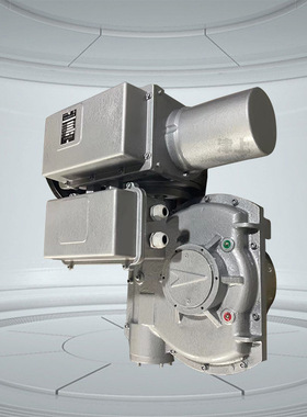 MB+RS250/K40Z MB+RS250/F40Z 津上 2500Nm电控无源触点电动装置