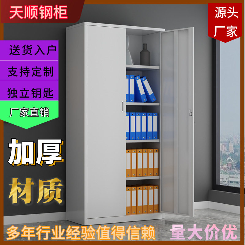 两双门文件柜铁皮柜子办公室文件铁皮资料柜二门铁柜二门文件柜子