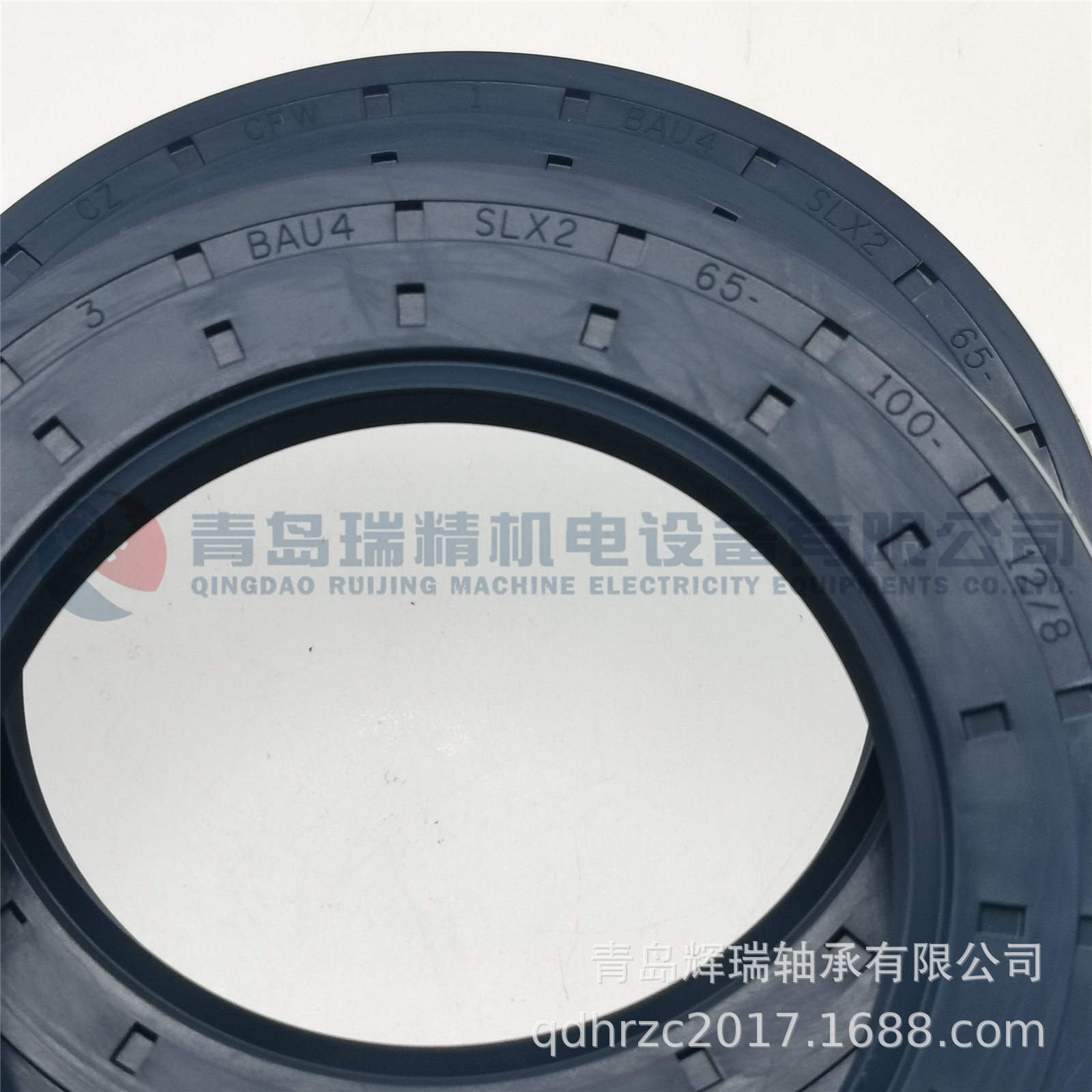 CFW进口密封件65mmX100mmX12