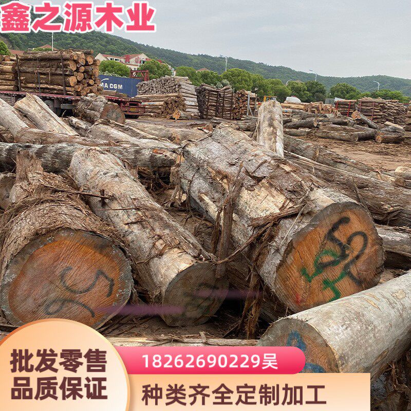 批发柏 香柏木 圆柱柏木原木家具材棺木寿材 红雪松板材防腐木