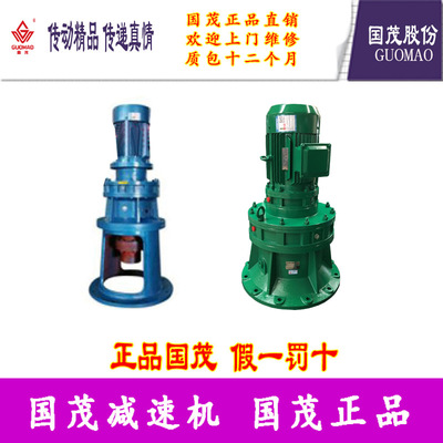 国茂立式摆线针轮行星减速机