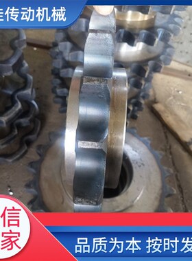 提升机炼轮NE15.30.50.100.150.200 工业机械传动双节距齿轮加工