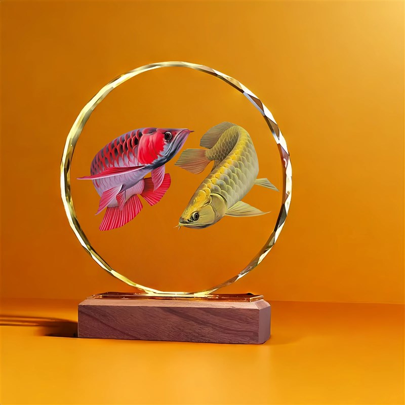 双龙鱼招财水晶摆件乔迁开业客厅办公室酒柜装饰吉祥富贵有余摆台