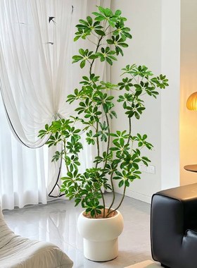 仿真绿植鸭脚木高端轻奢室内客厅电视柜落地大型植物装饰摆件假树