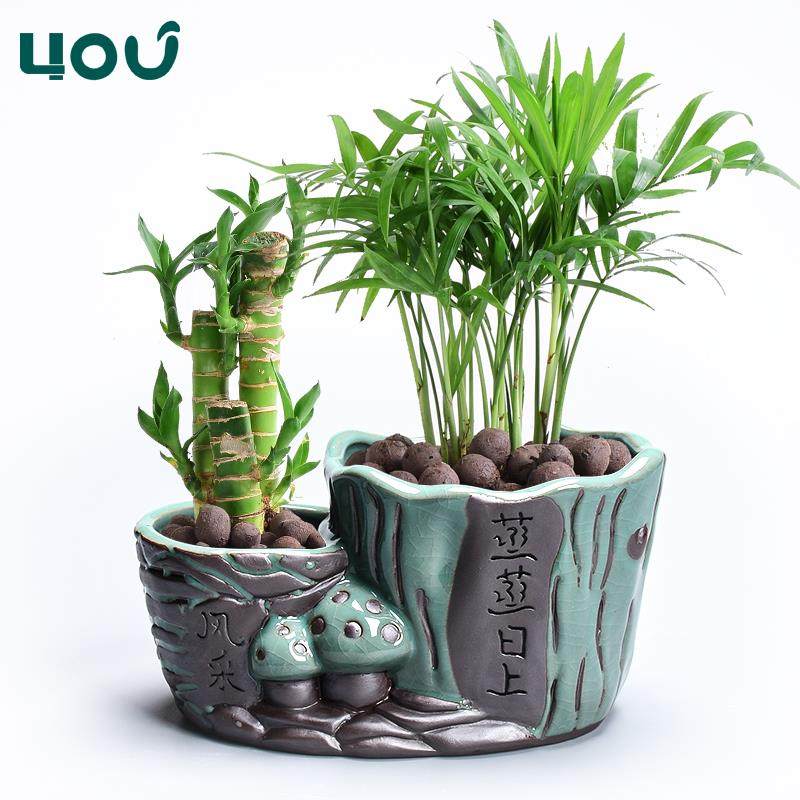 创意双孔花盆文竹盆栽绿植多肉植物盆器吊兰家用紫砂蝴蝶兰花盆