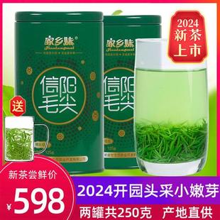 信阳毛尖2024新茶上市春茶明前特级头采小嫩芽绿茶叶兰花香型250g