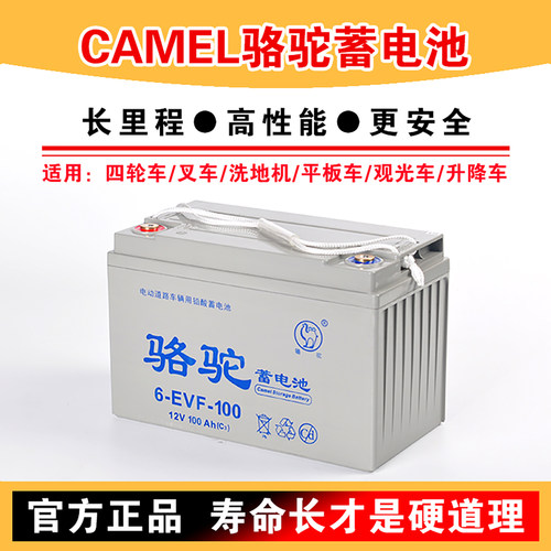 【官方推荐】电动四轮车EVF电瓶