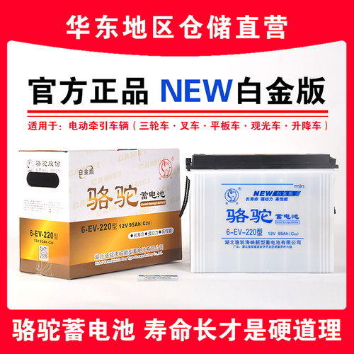 【官方推荐品】电动三轮车水电瓶