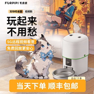 毛皮皮蘑菇单机系列自动喂食器猫咪摄像头可视频宠物狗狗智能5G