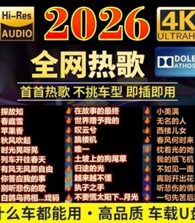 汽车载u盘歌曲2026抖音流行DJ热歌榜无损高品音质车用音乐优盘u盘