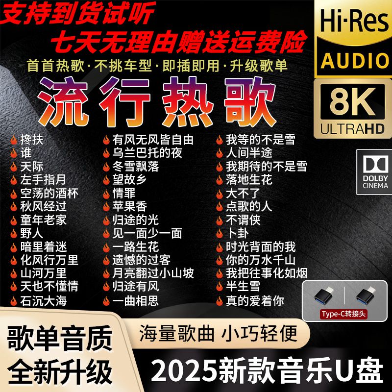 车载u盘2025抖音热歌