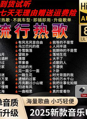 汽车载u盘2025新款抖音热歌曲流行经典无损高音质车用音乐usb优盘