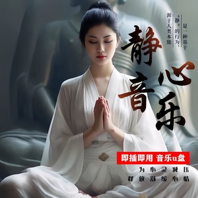 音乐u盘纯音乐茶室美容店用