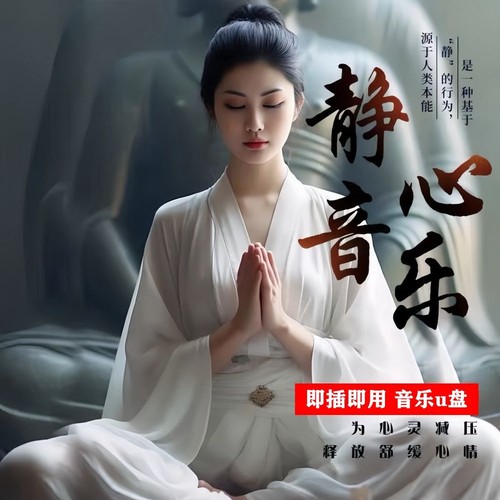 音乐u盘纯音乐茶室美容店用