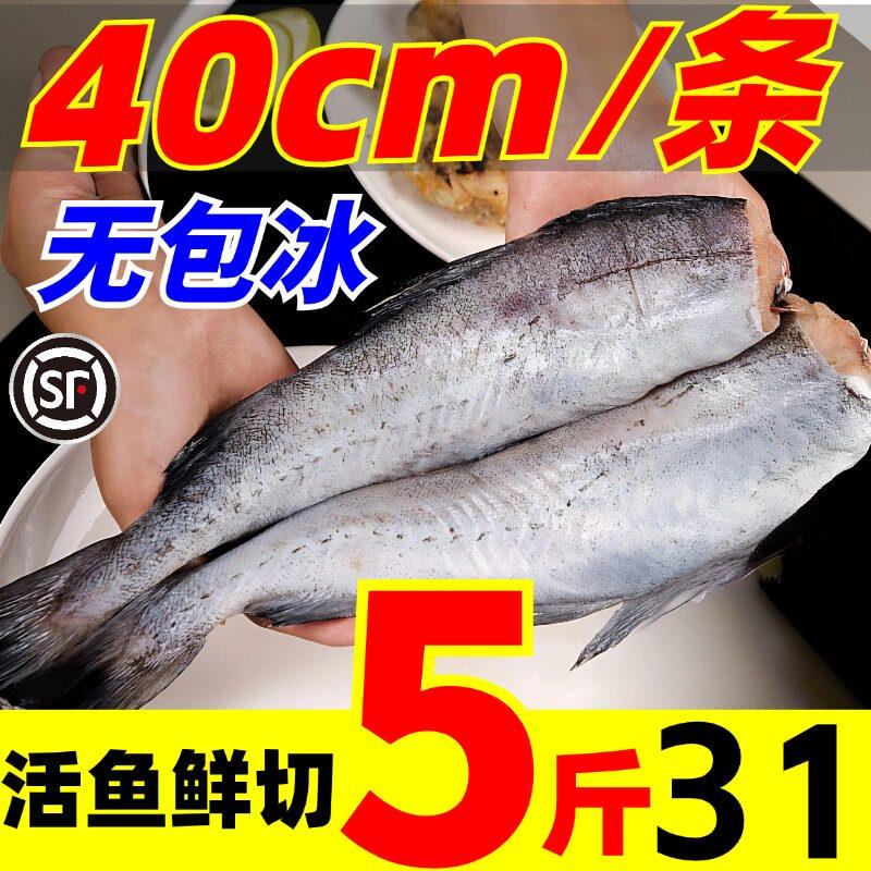 明太鱼新鲜冷冻无头鱼雪鱼狭鳕鱼现杀朝鲜鱼宝宝辅食海鲜水产海鱼