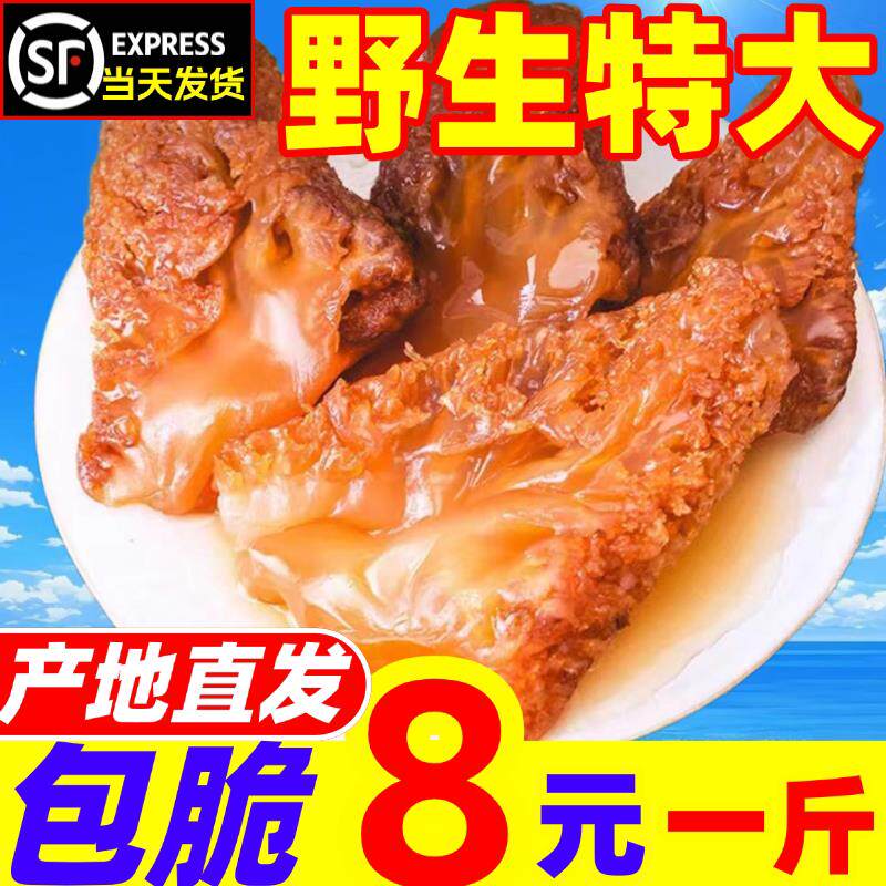 海蜇头特大新货正宗海蜇花凉拌菜盐渍野生红花海蜇商用海鲜纯野生