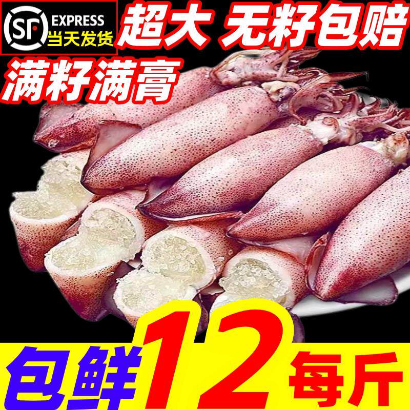 海兔新鲜带籽籽乌超大满籽满膏墨鱼鲜冻乌贼海鲜水产笔管鱼小鱿鱼
