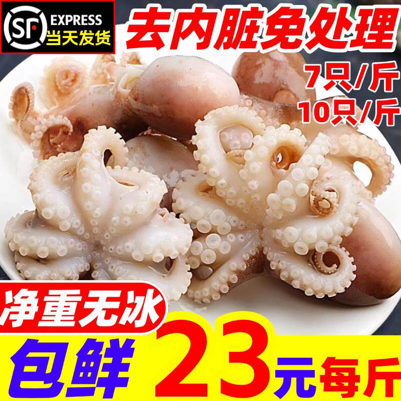 八爪鱼鲜活冷冻爆头去内脏免处理捞汁短腿小海鲜水产包新鲜小章鱼