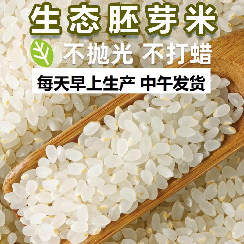 生态大米胚芽米10斤2025年新米现磨圆粒粳米儿童副食品粥米环保绿