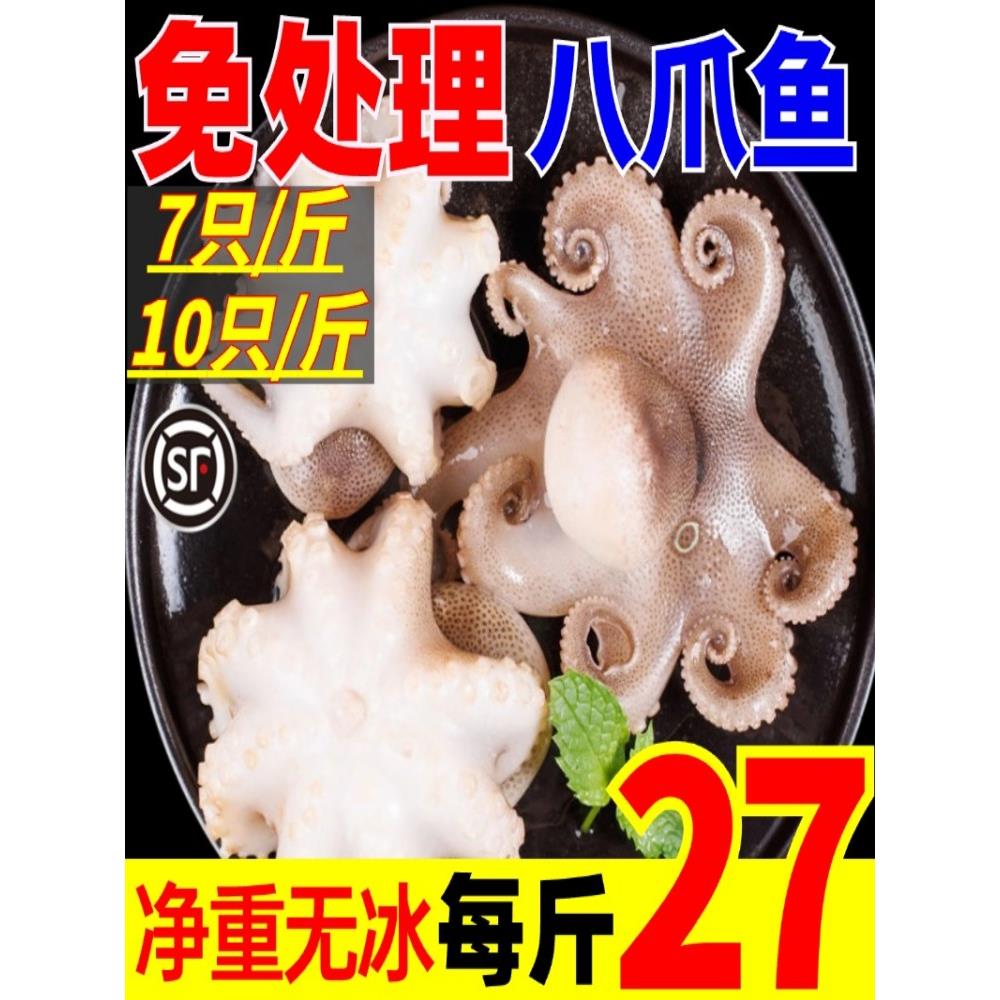 八爪鱼鲜活冷冻小海鲜水产爆头去内脏捞汁免处理短腿包新鲜小章鱼