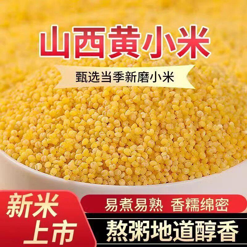 熟制黄小米新米农家自产食用汾州小米五谷杂粮食糯小米粥
