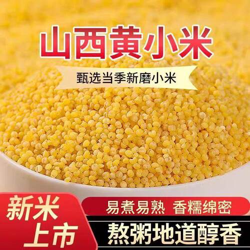 熟制黄小米新米农家自产食用汾州小米五谷杂粮食糯小米粥