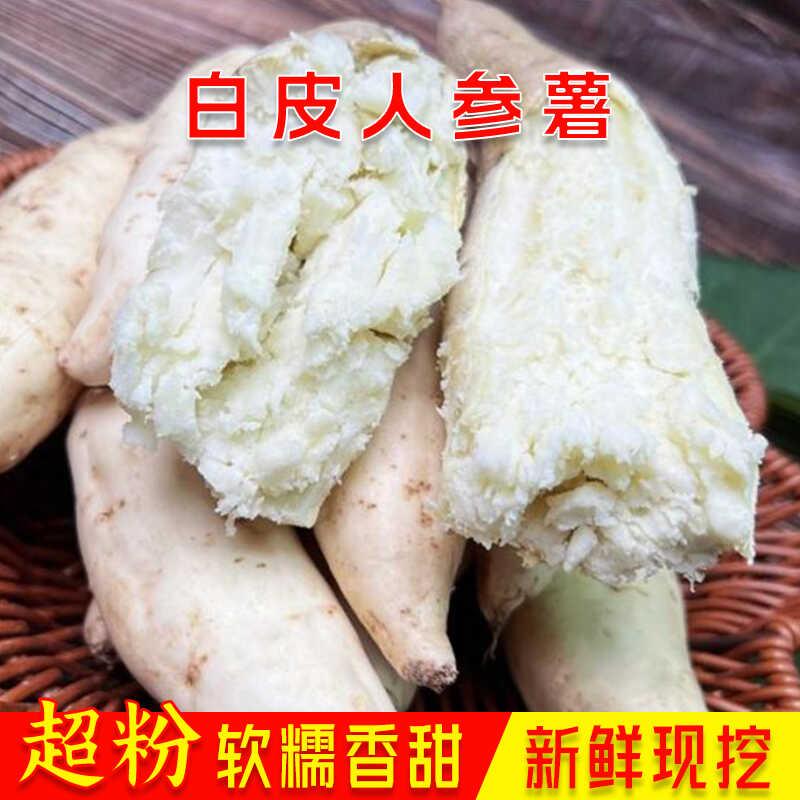 白皮牛奶薯新鲜现挖白皮白心番薯板栗薯白薯地瓜超粉红薯
