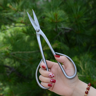 盆景叶芽剪刀盆景制作修剪工具小枝细枝专用剪园艺U不锈钢盆景剪