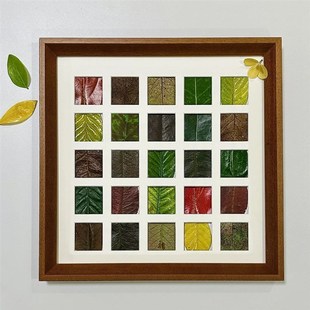 落叶树叶标本相框手工diy秋天叶子收集4K8宫格装裱送男女朋友礼物