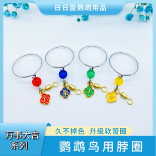 鹦鹉不锈钢脖套训练脖圈遛鸟放飞绳脚链玄凤牡丹小太栓鸟链子绳