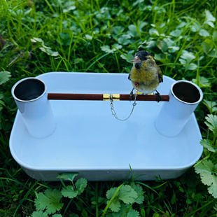 小型鸟架,适合绣眼贝子黄雀山雀等鸟笼鸟架、鸟站架、盘鸟神器