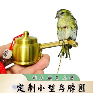 黄雀秀眼鸟脖套鹦鹉项圈训鸟珍珠七彩文鸟栓链子燕雀芙蓉玉鸟脖套