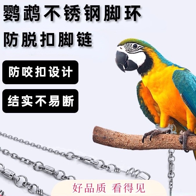 开口304不锈钢鹦鹉脚环脚链放飞绳鸟用链子玄凤小太牡丹放飞绳架