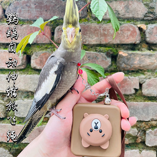 鹦鹉脚环放飞绳不伤脚牡丹玄凤脚链小太阳和尚脖套遛鸟链子站架