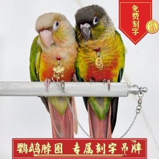 免费刻字小太阳鹦鹉脖套定制刻字项链玄凤和尚金太阳放飞牵引脖圈