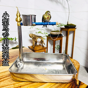 黄雀绣眼七彩文鸟脖套栓鸟绳细链子贝子山雀绣眼脖圈小型鸟站架盆