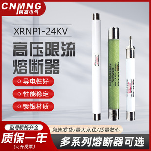 2A高压限流熔断器互感器PT保险管高压保险管25 0.5 325mm XRNP