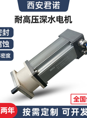 世嘉深水电机水下6000m全密封防水电机水下耐压60MPa潜水深海电机