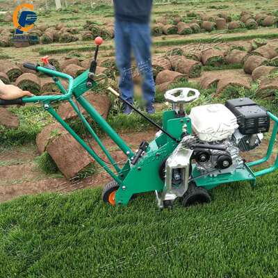 手推式汽油起草皮机 小型草原草起草机 园林绿化草坪铲起移植机